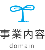 事業内容-domain